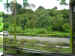 freeway traffic.JPG (497291 bytes)